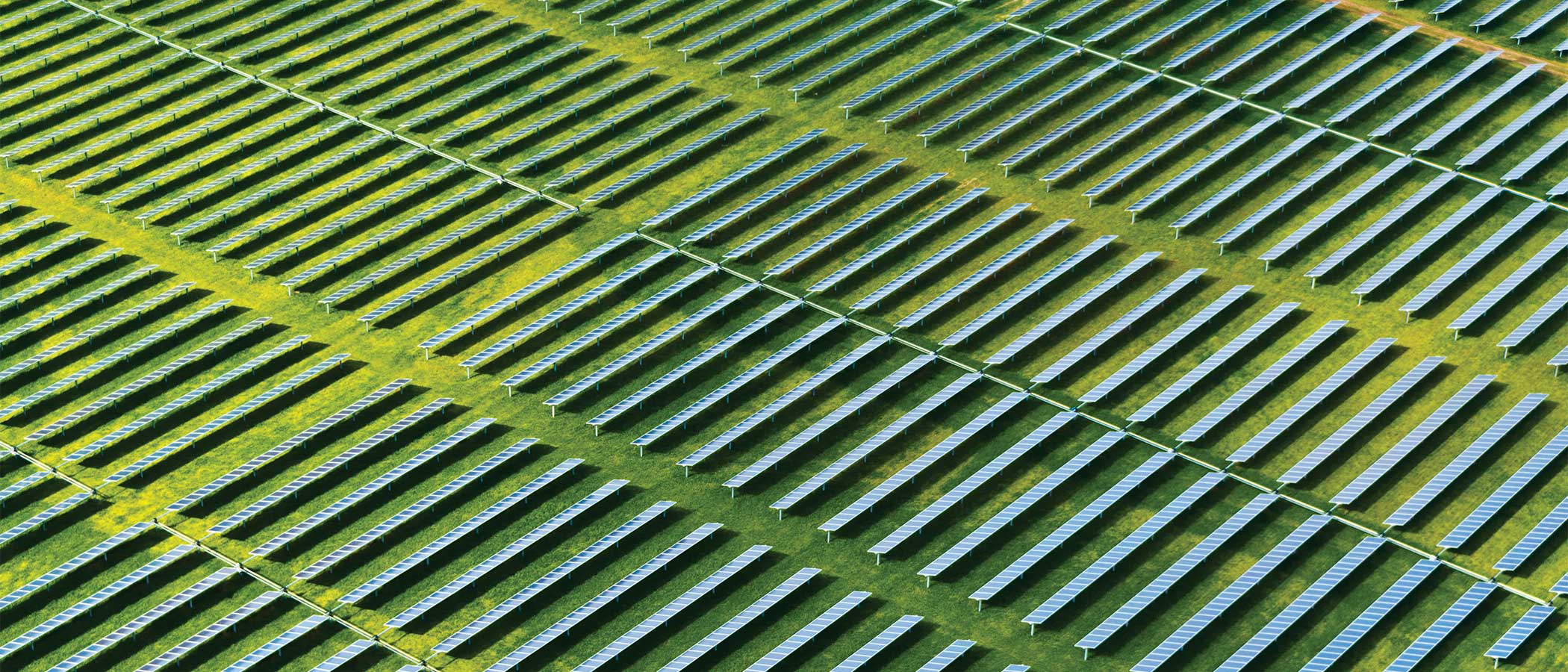 Aerial view of a solar farm with many rows of solar panels in a field.
