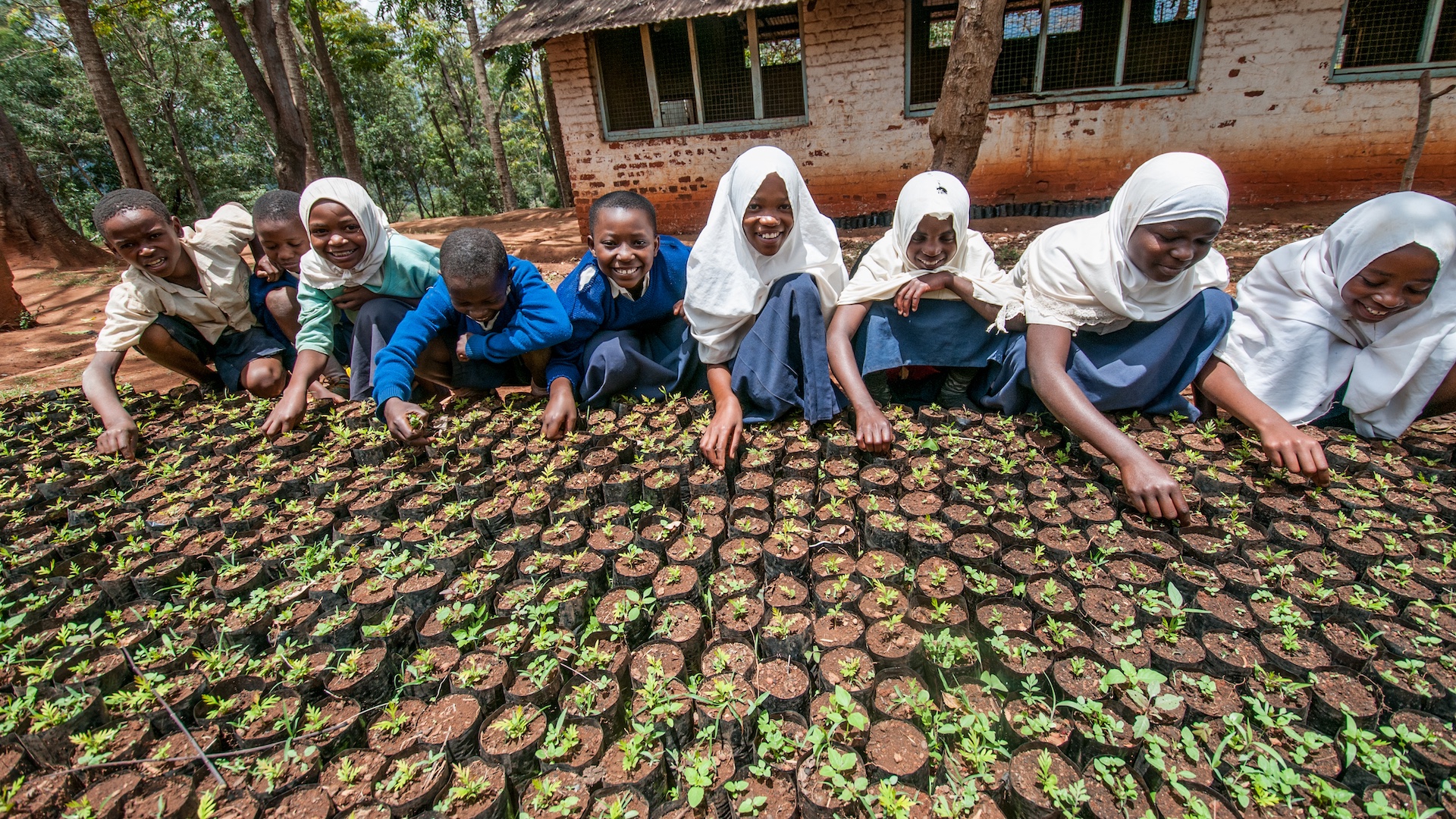 Students in Lushoto, Tanzania care for seedlings at school.