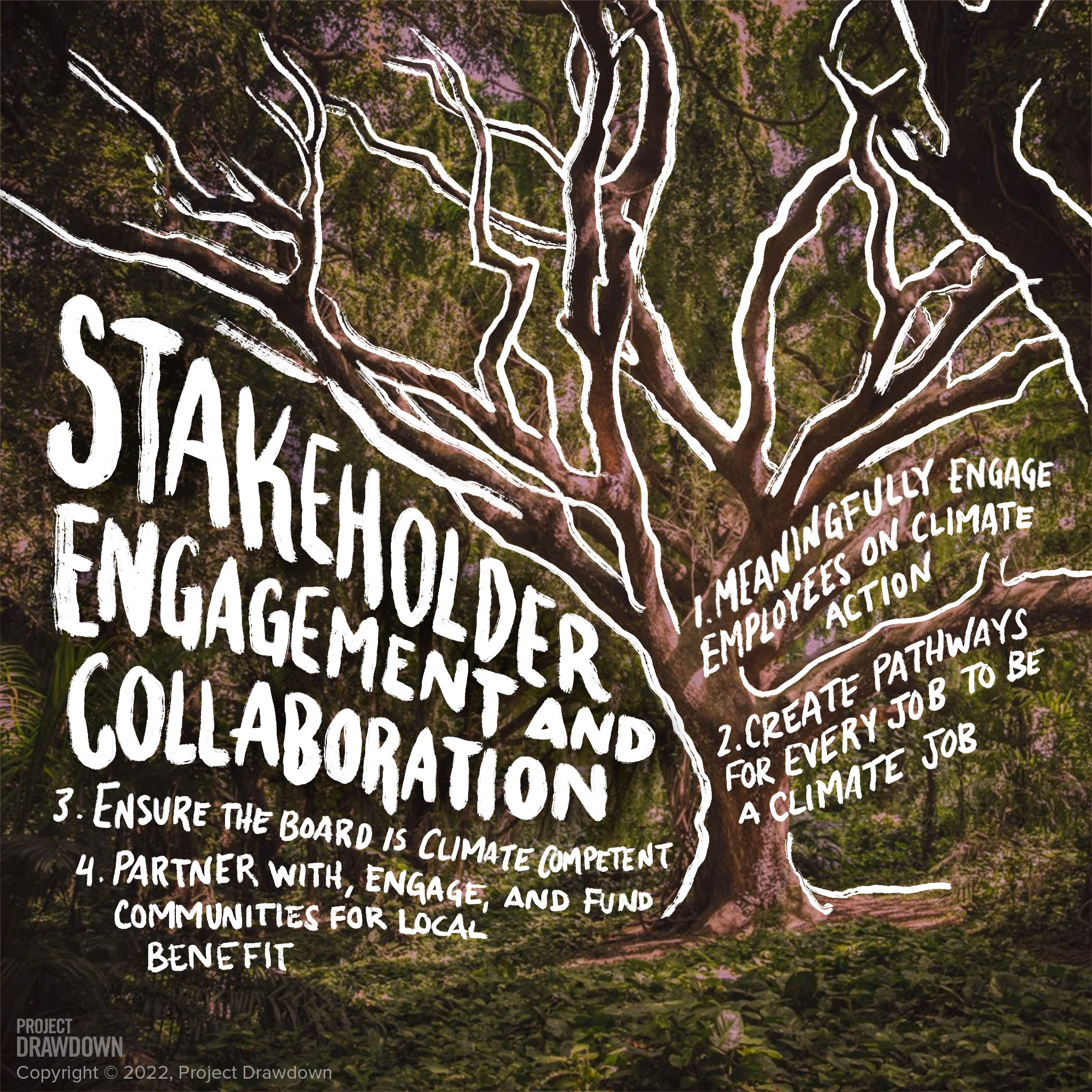 Titled: Stakeholder Engagement and Collaboration, drawing of a tree in background.