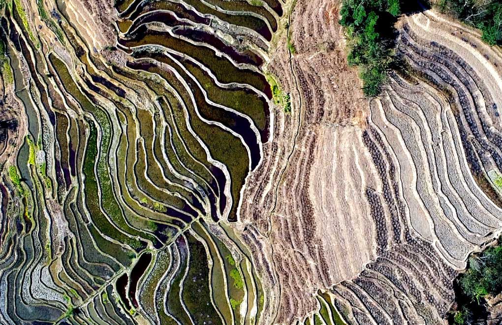 Aerial view of rice terraces