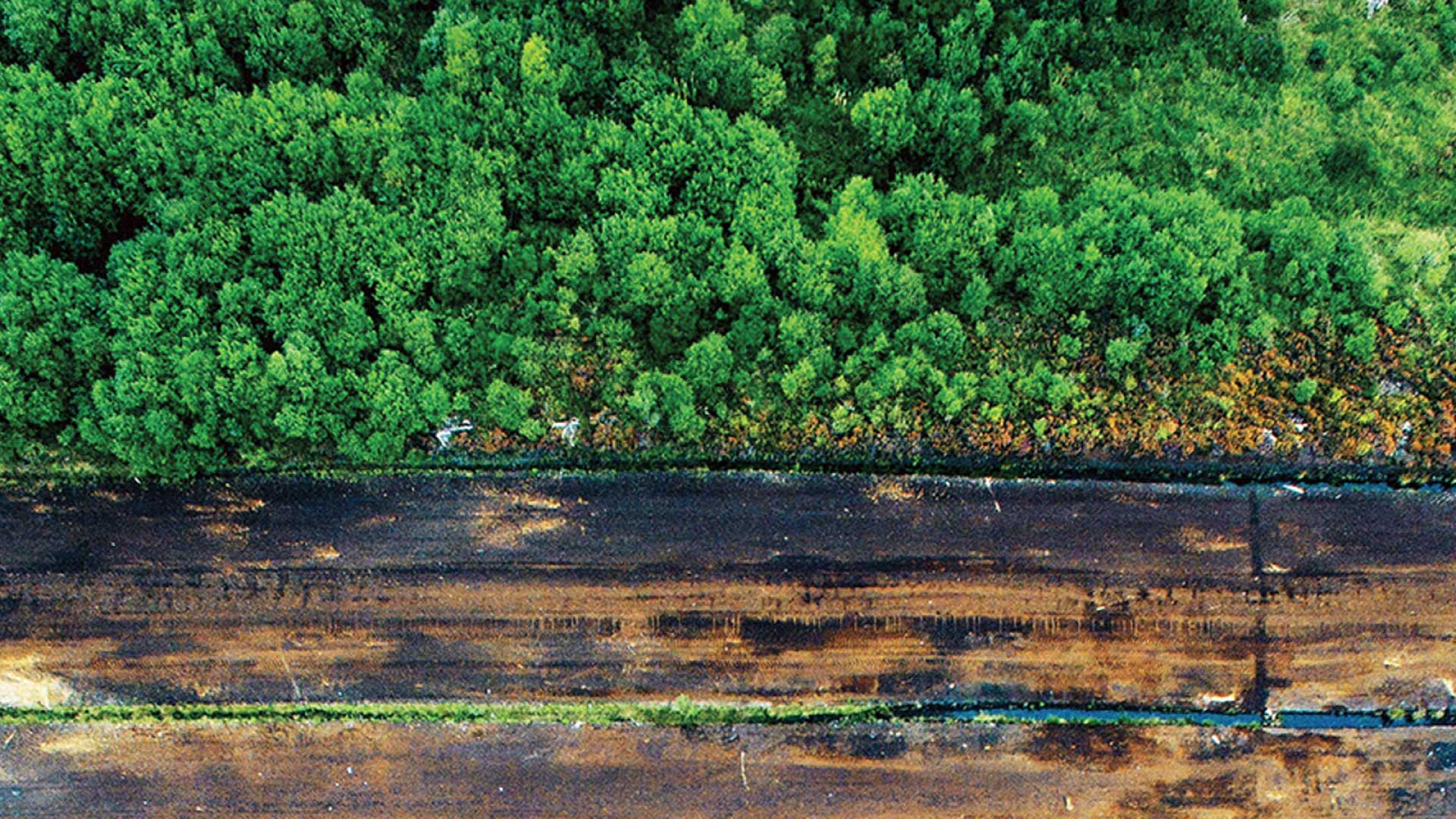 Aerial view of peatlands