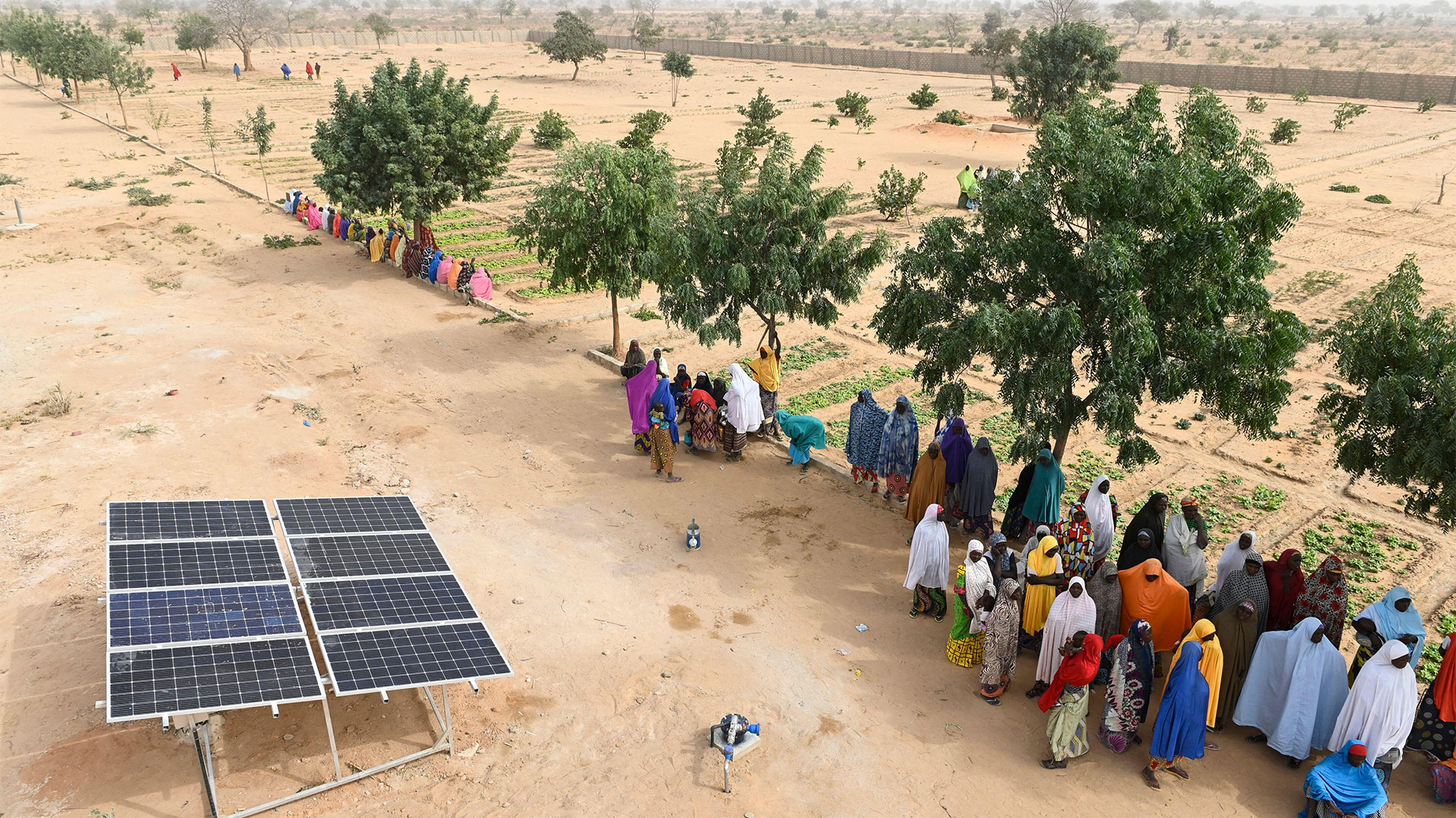 People in colorful clothing standing under trees near a solar panel