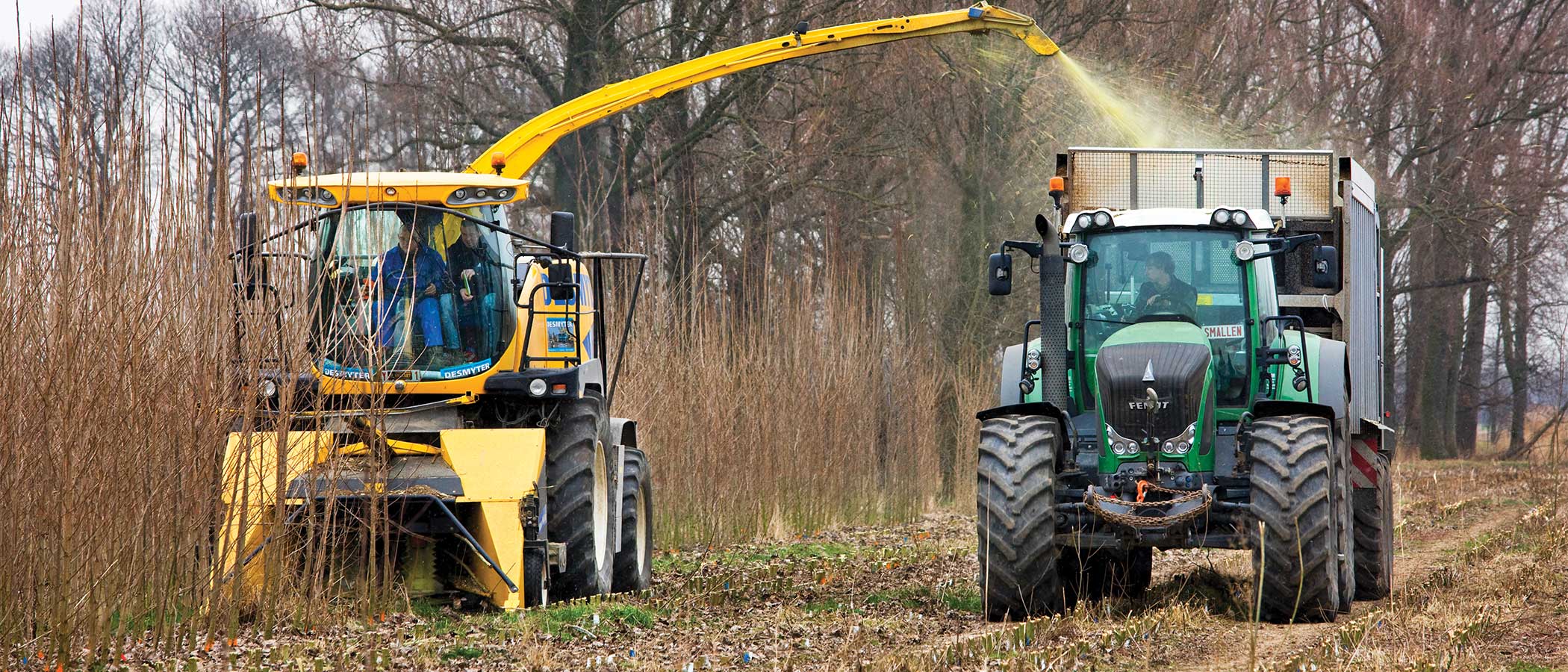 Tractpr harvesting biomass in Germany.