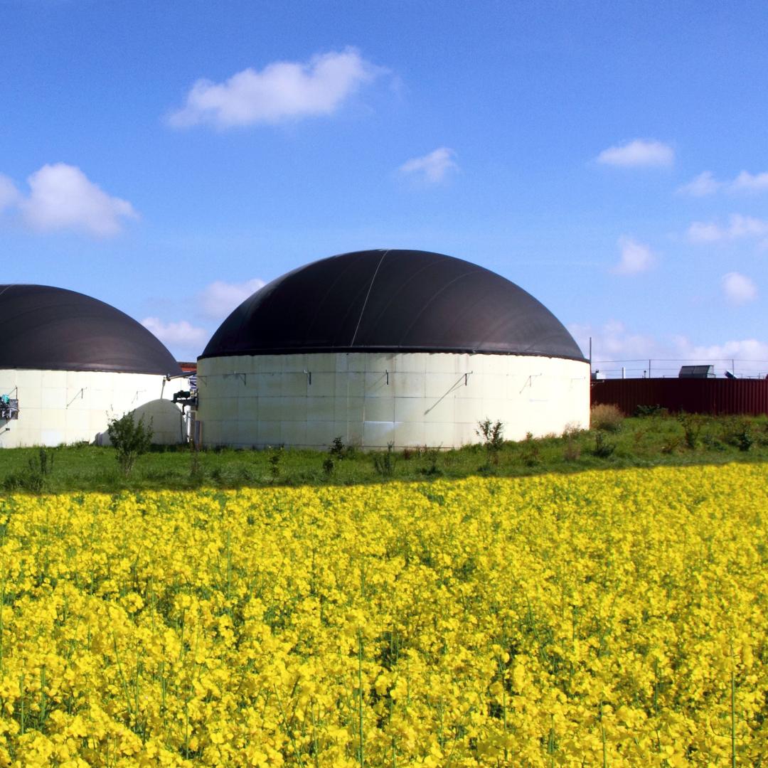 Methane digesters