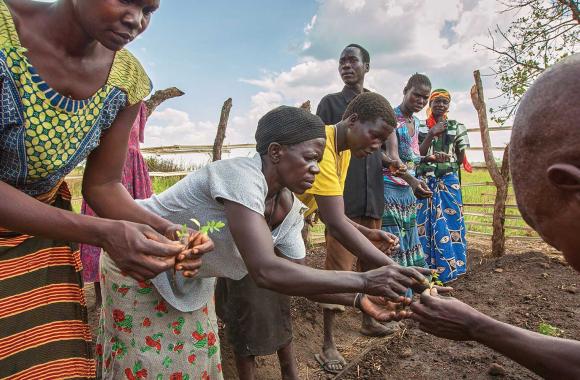 Villagers handle seedlings during a permagarden planting, a training sponsored by CAFWA, Community Action Fund for Women in Africa.